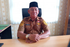  Hampir Seluruh OPD Pemkot Bengkulu Gunakan SRIKANDI, Arsip Pemerintahan Beralih Digital