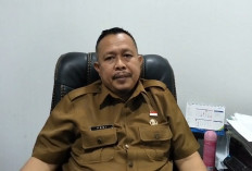 Pemkot Bengkulu Gencarkan Strategi Tarik Investor, Andalkan SIKOLU dan OSS