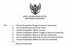 Penuntutan Bisa Ditunda, Hakim Kini Punya Peran Mengawasi Perjanjian