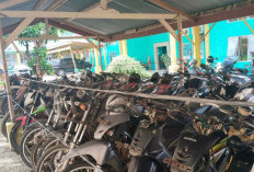 Lampaui Target, Lelang Kendaraan Dinas R2 Mukomuko Tembus Rp132 Juta