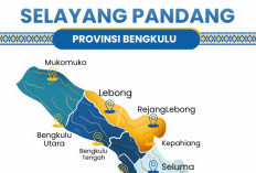 Kemandirian Fiskal Bengkulu Cuma 18,24 Persen, Seluma Terendah 4,71 Persen