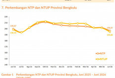 NTP Bengkulu Tertinggi di Sumatera Meski Turun, BPS Catat Penurunan Berlanjut hingga Juni 2026