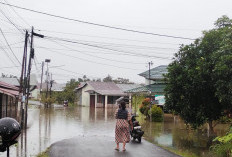 Curah Hujan Tinggi, BPBD Catat 11 Titik Banjir di Kota Bengkulu